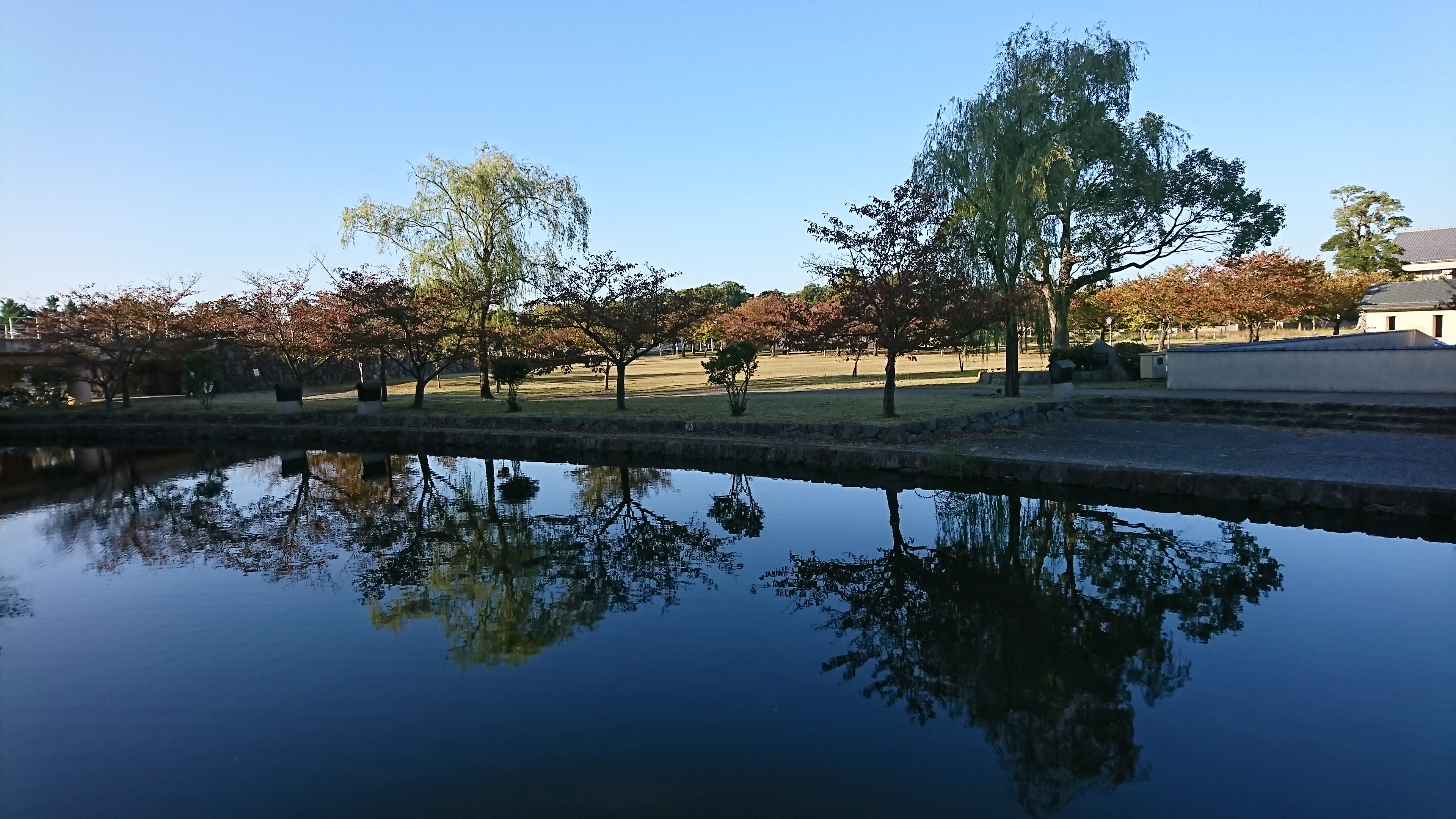 県大の秋1