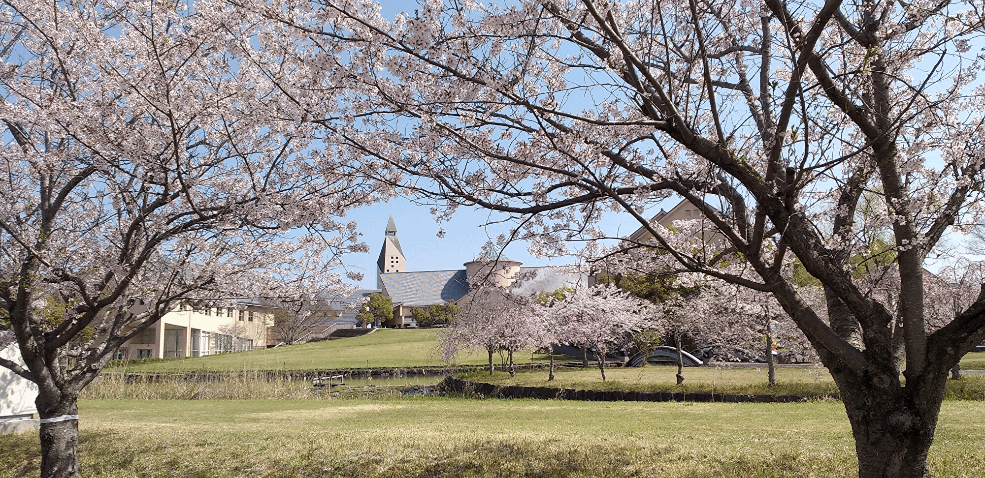 入学式gif